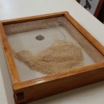 Awesome dust collection :-)